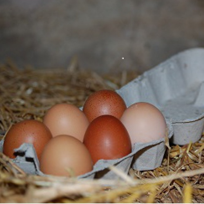 OEUFS FERMIERS PAR 6 PLEIN AIR