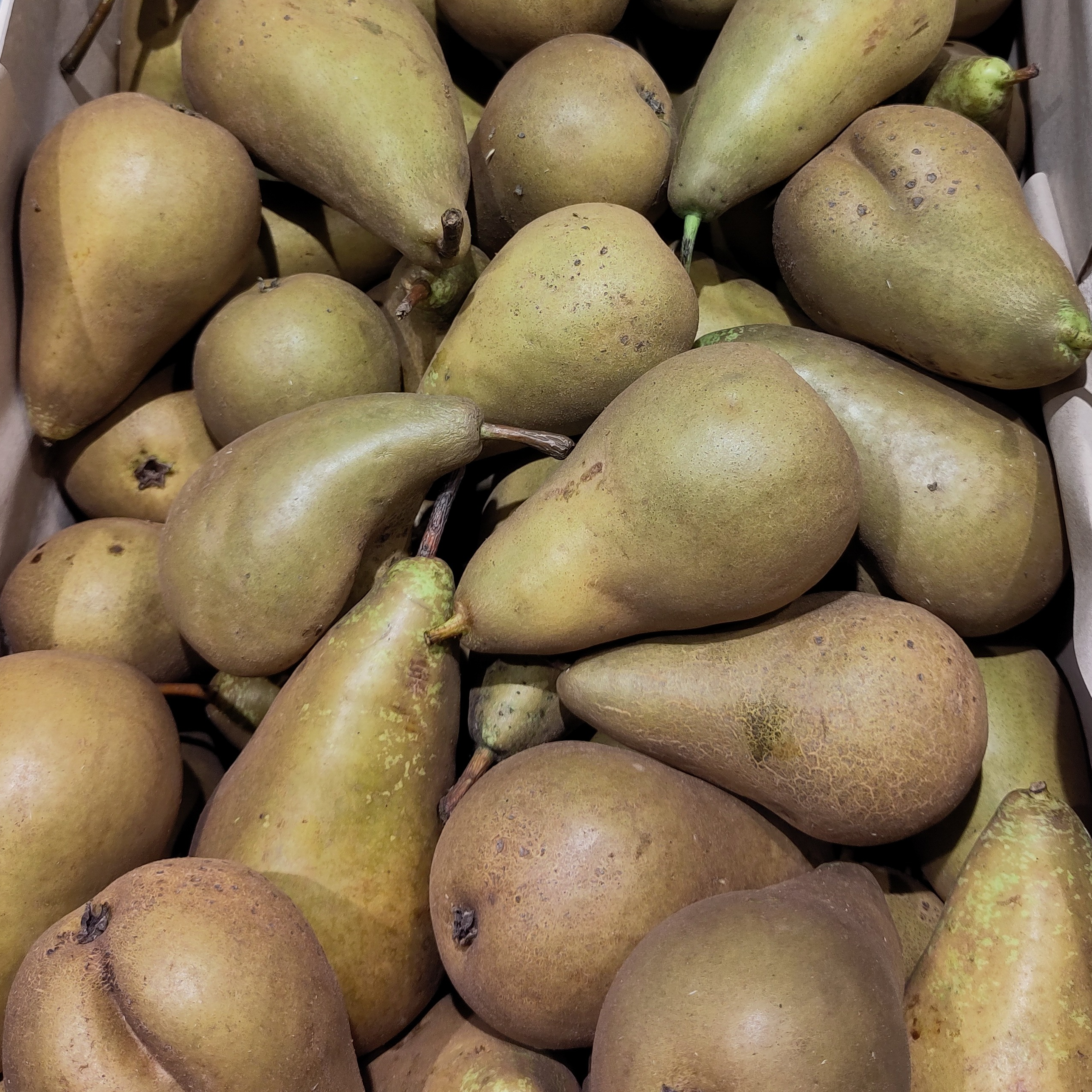 Poire Conférence BIO