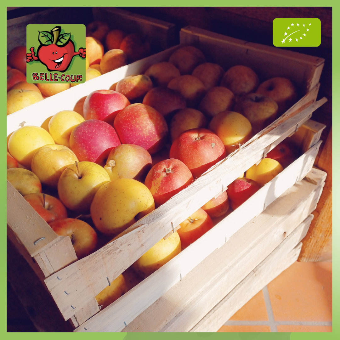 Mélange Pommes - 4kg