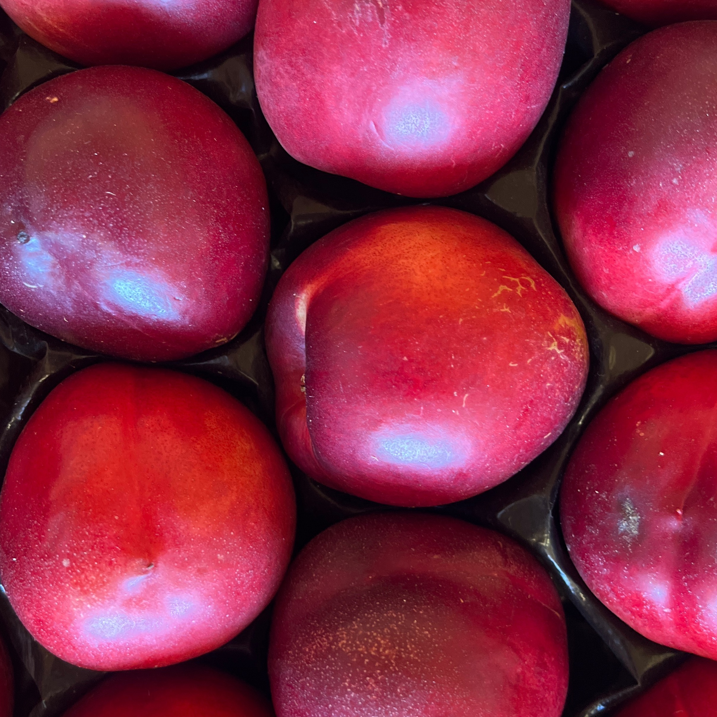 NECTARINE BLANCHE