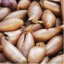 Echalote 300g - 300g