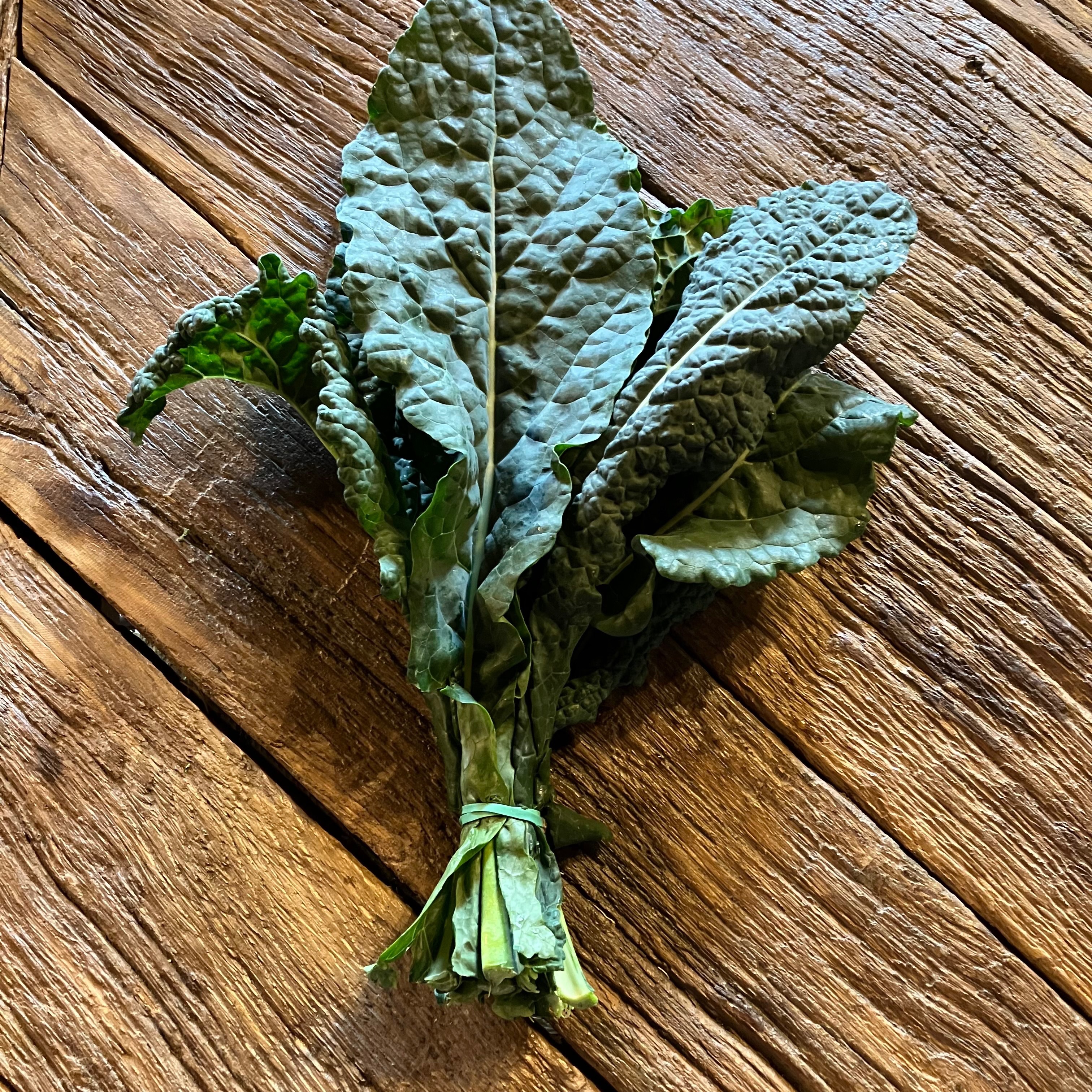Chou Kale Nero di Toscana