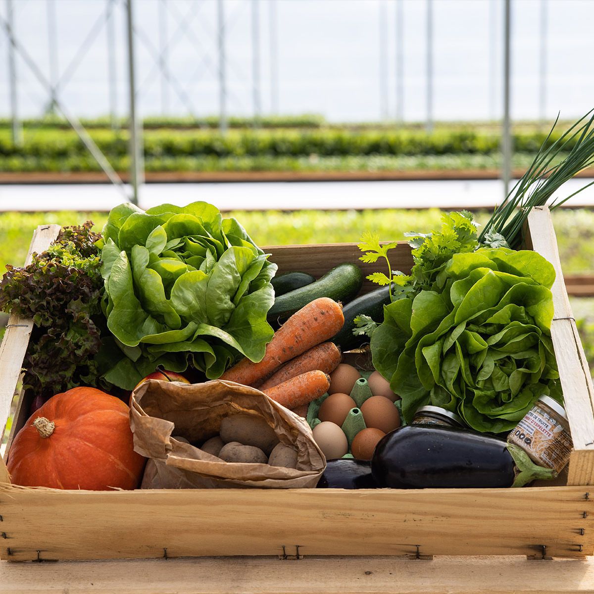 Petit panier de légumes de saison