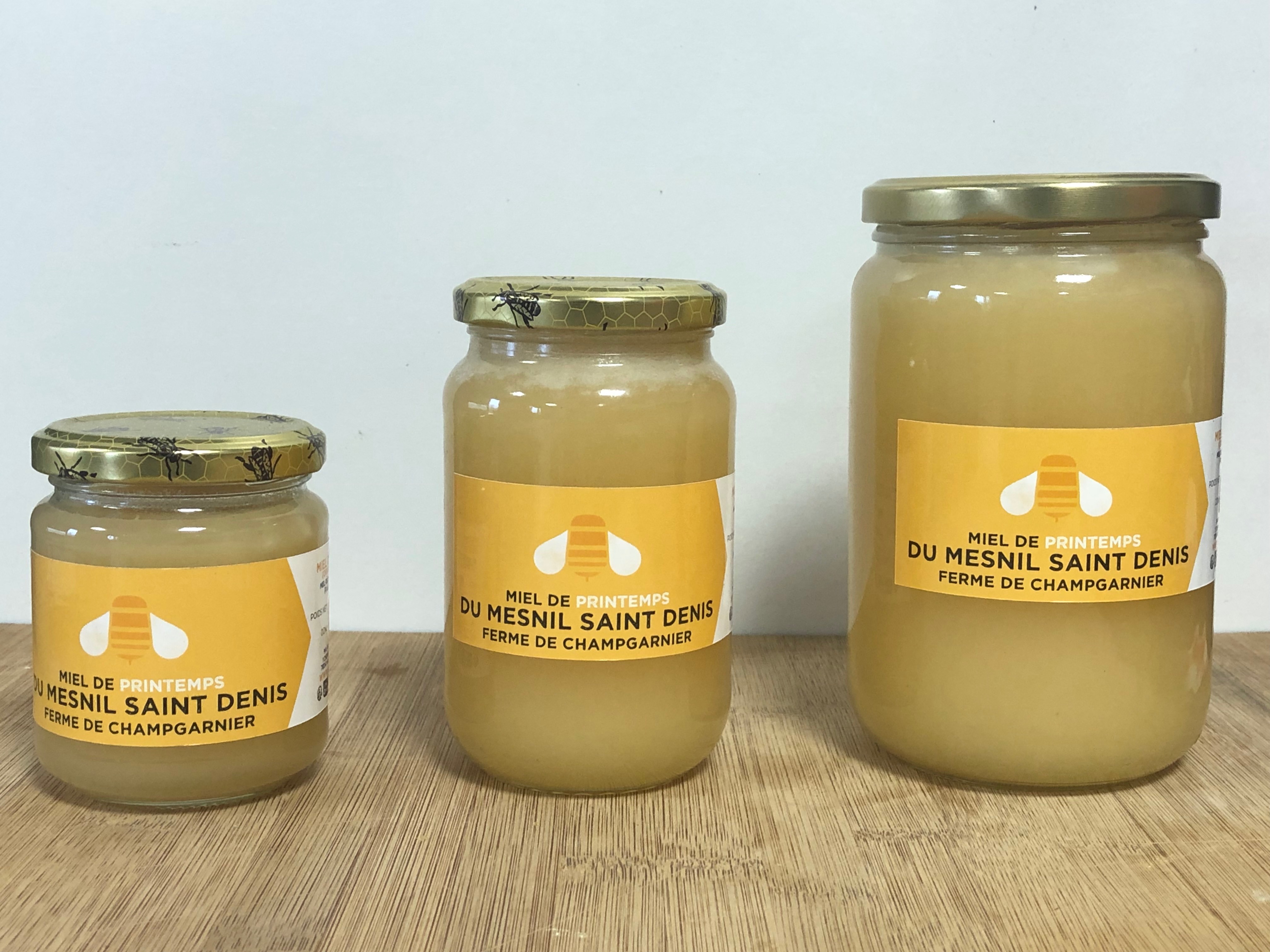 MIEL DE CHAMPGARNIER (Mesnil St Denis) - Fleurs de PRINTEMPS