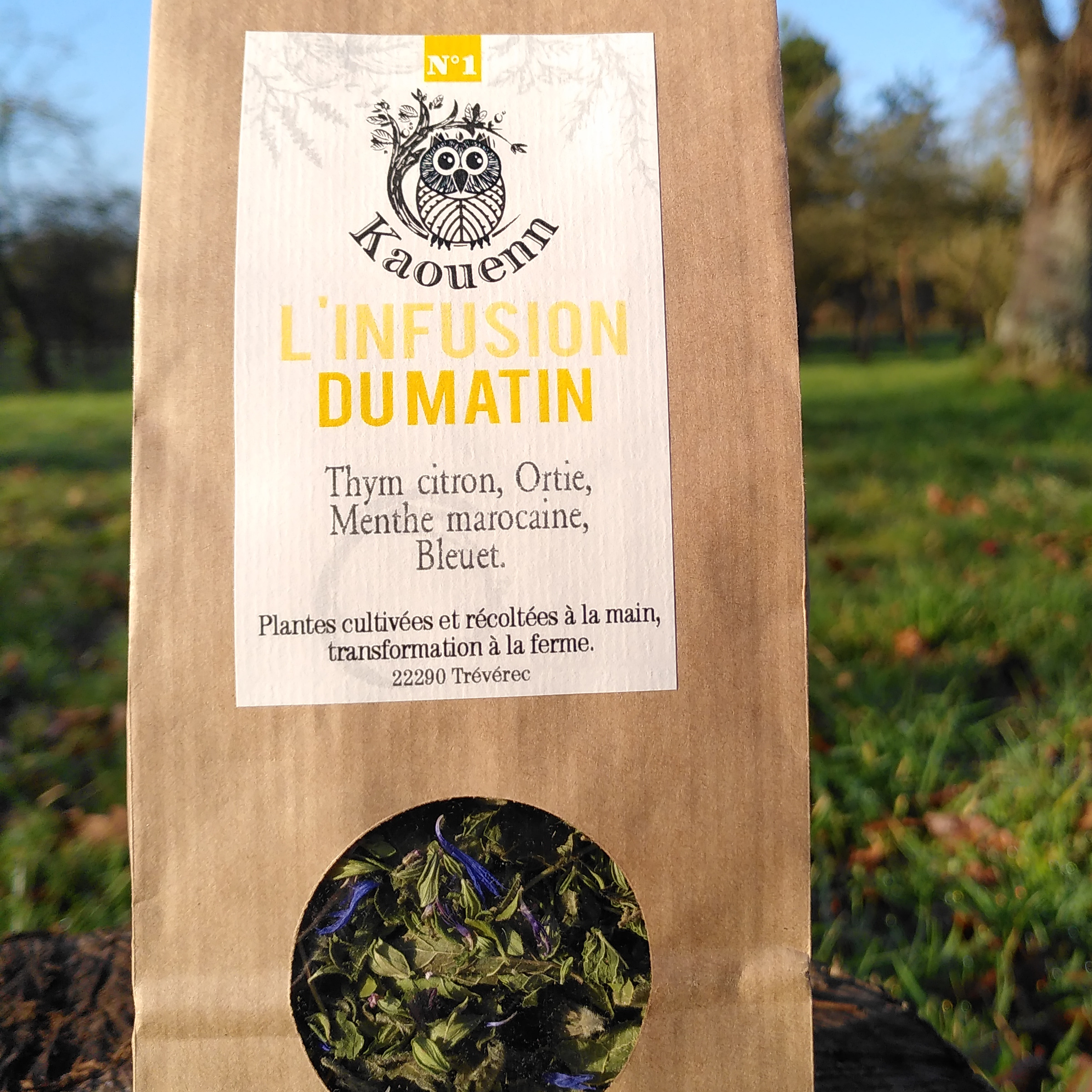 INFUSION MATIN - 25g