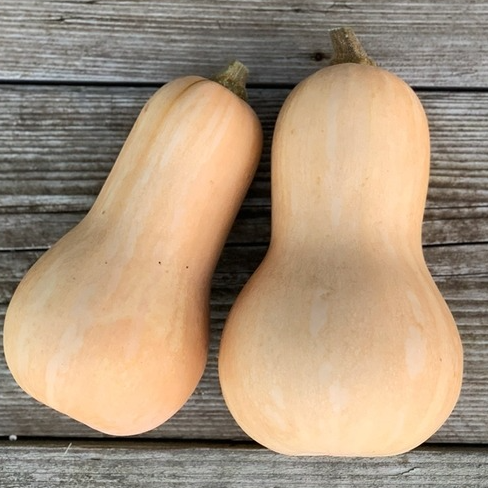 Courge Butternut - 1000g