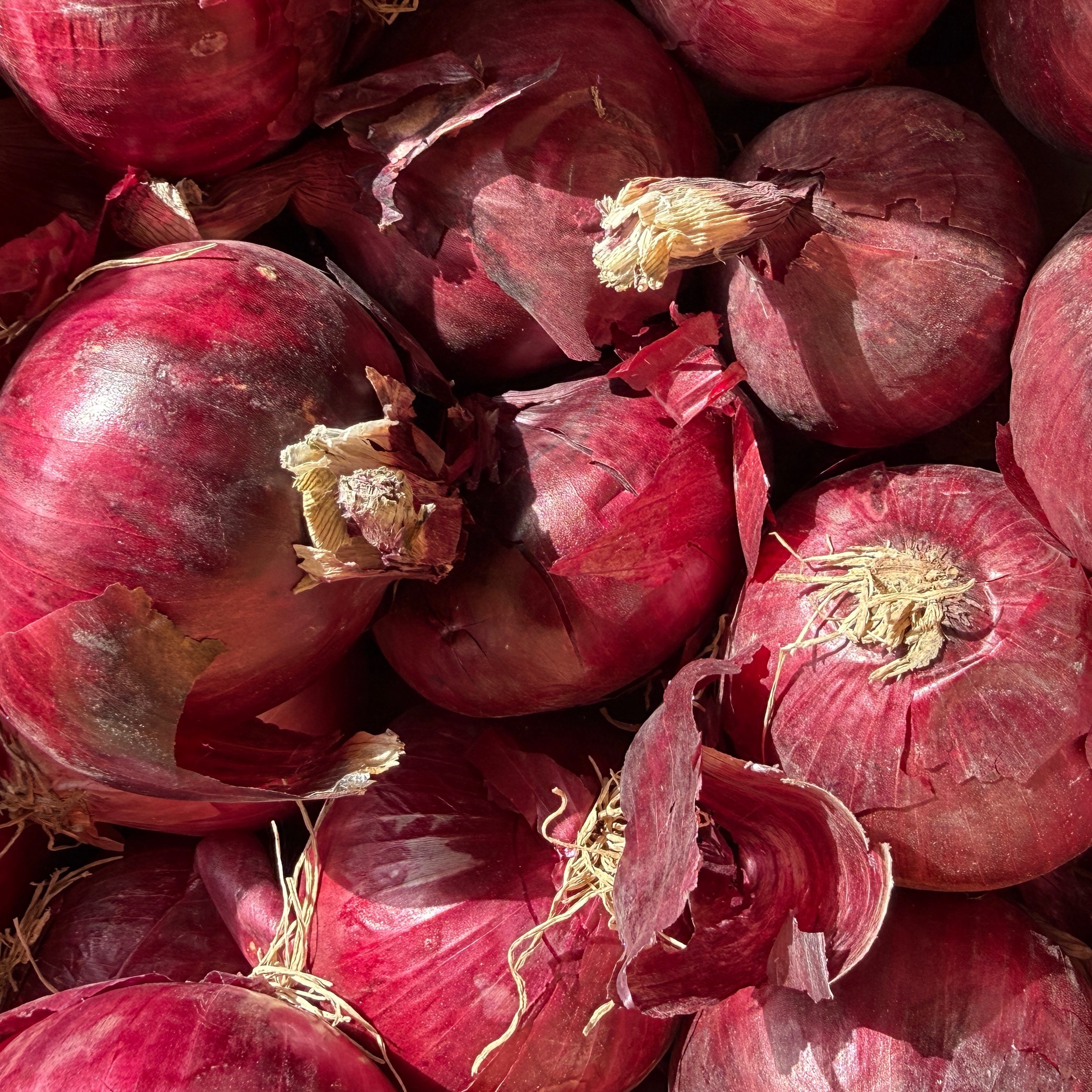 Oignon rouge 1 kg