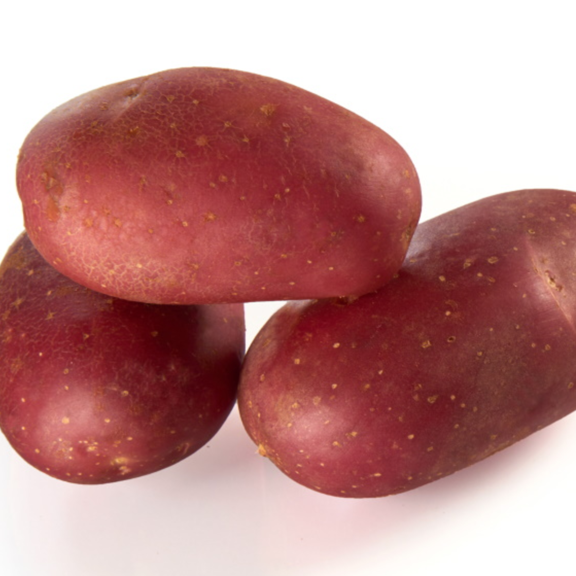 Pomme de terre Delila