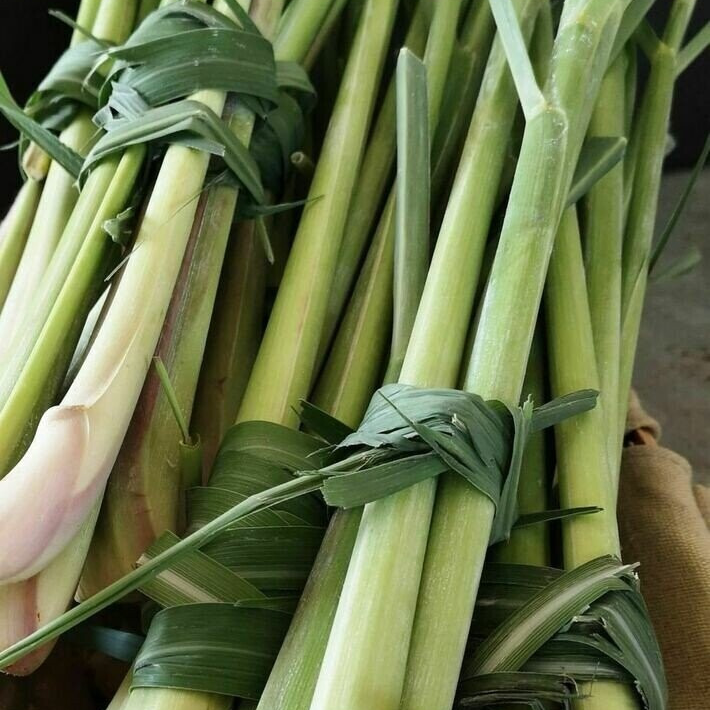 Citronnelle fraîche - Botte