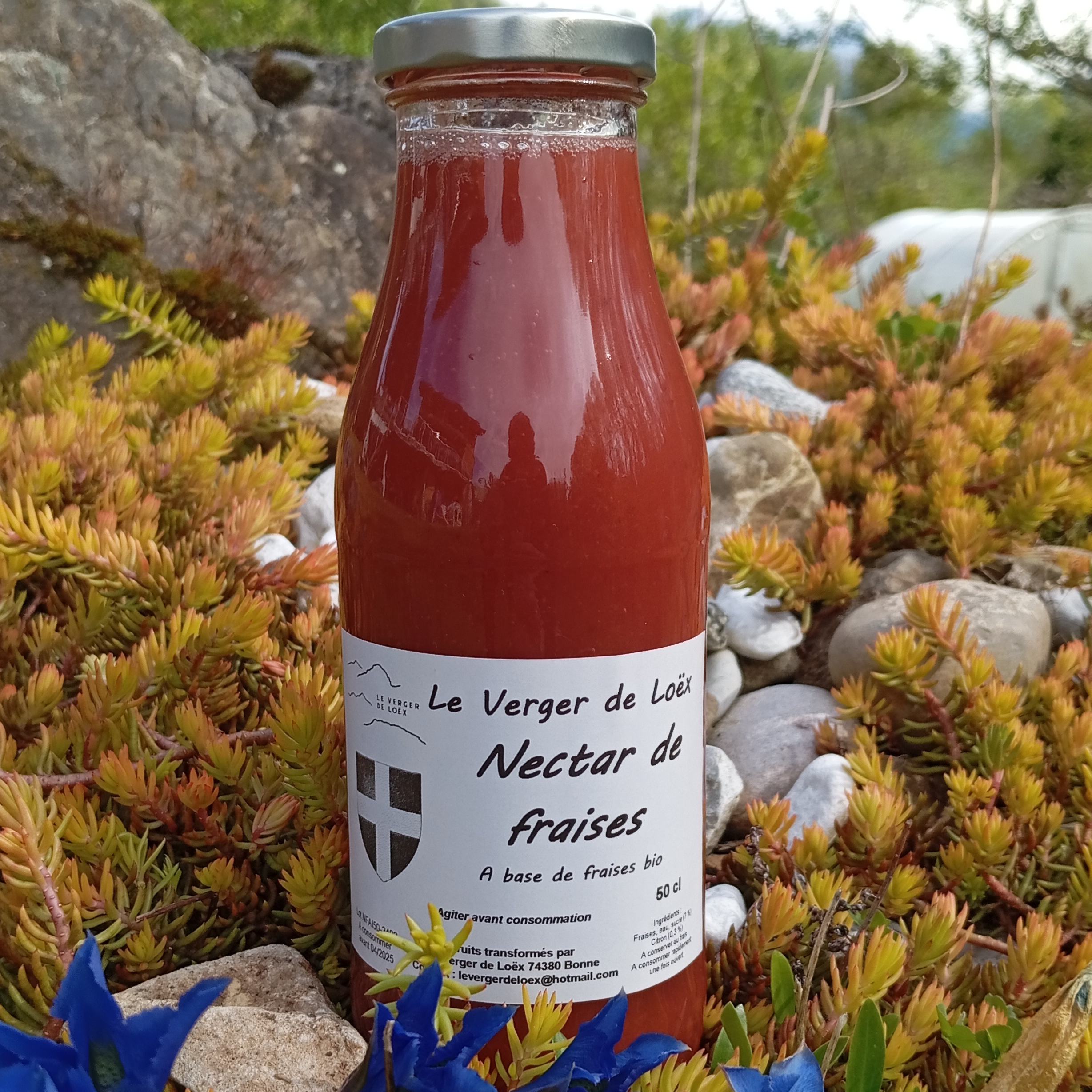 Nectar de fraises BIO du verger - 0,5L - 0,5l