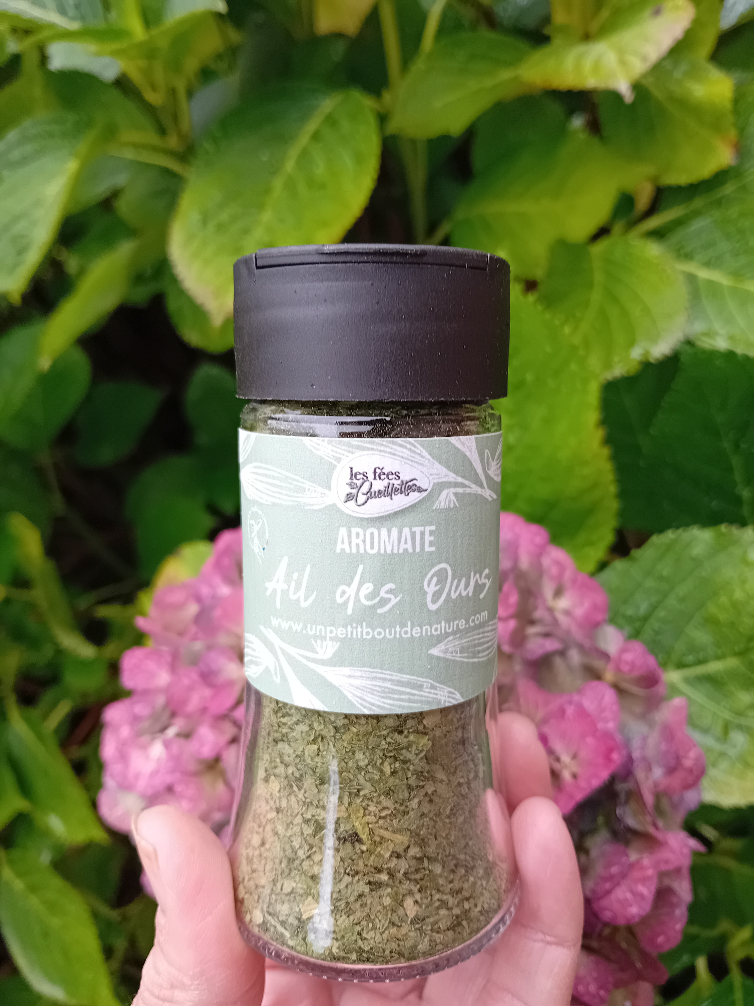 Aromate Ail Des Ours - 12g