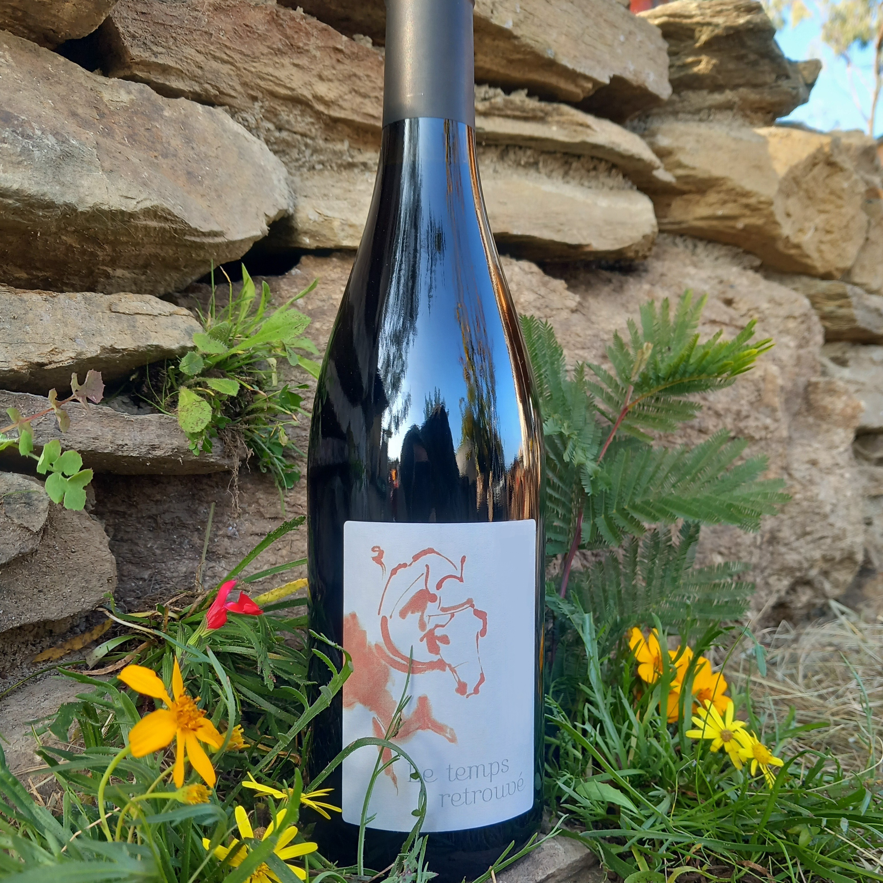 Carignan Collection Millésime 2013