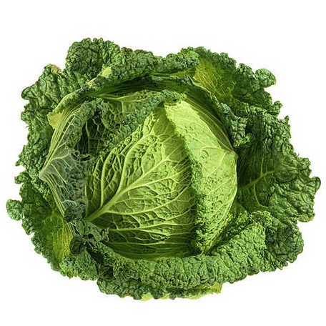 Chou vert frisé