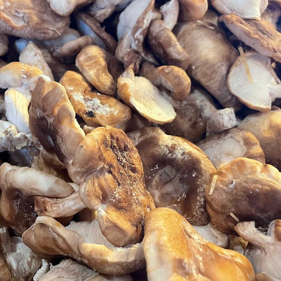 Shitake - 250g