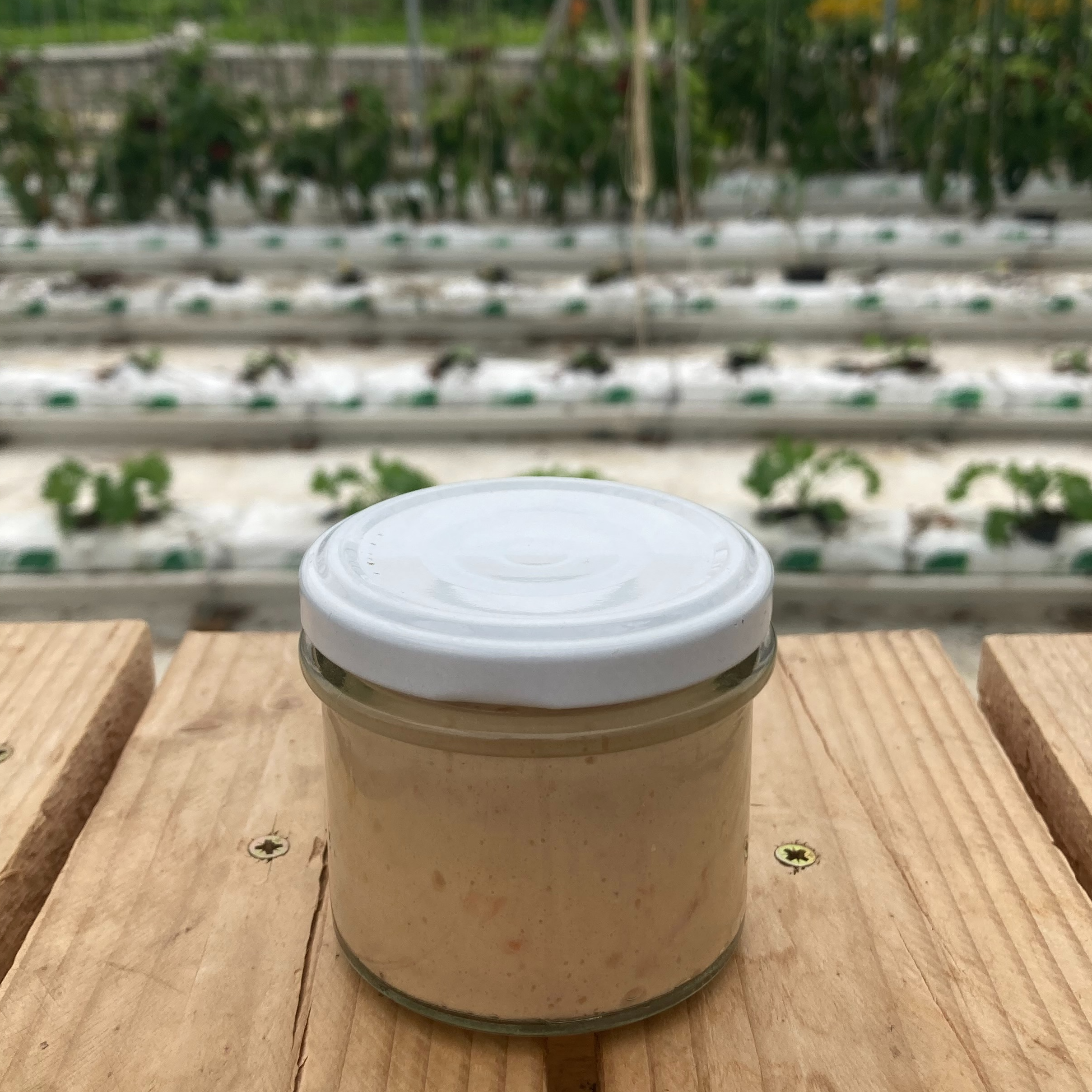 Terrine de Truite et Truite fumée (pot 100g)