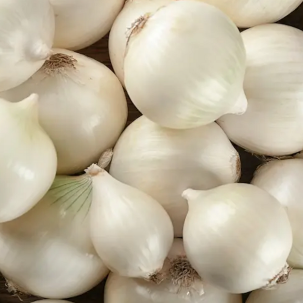 Oignon blanc