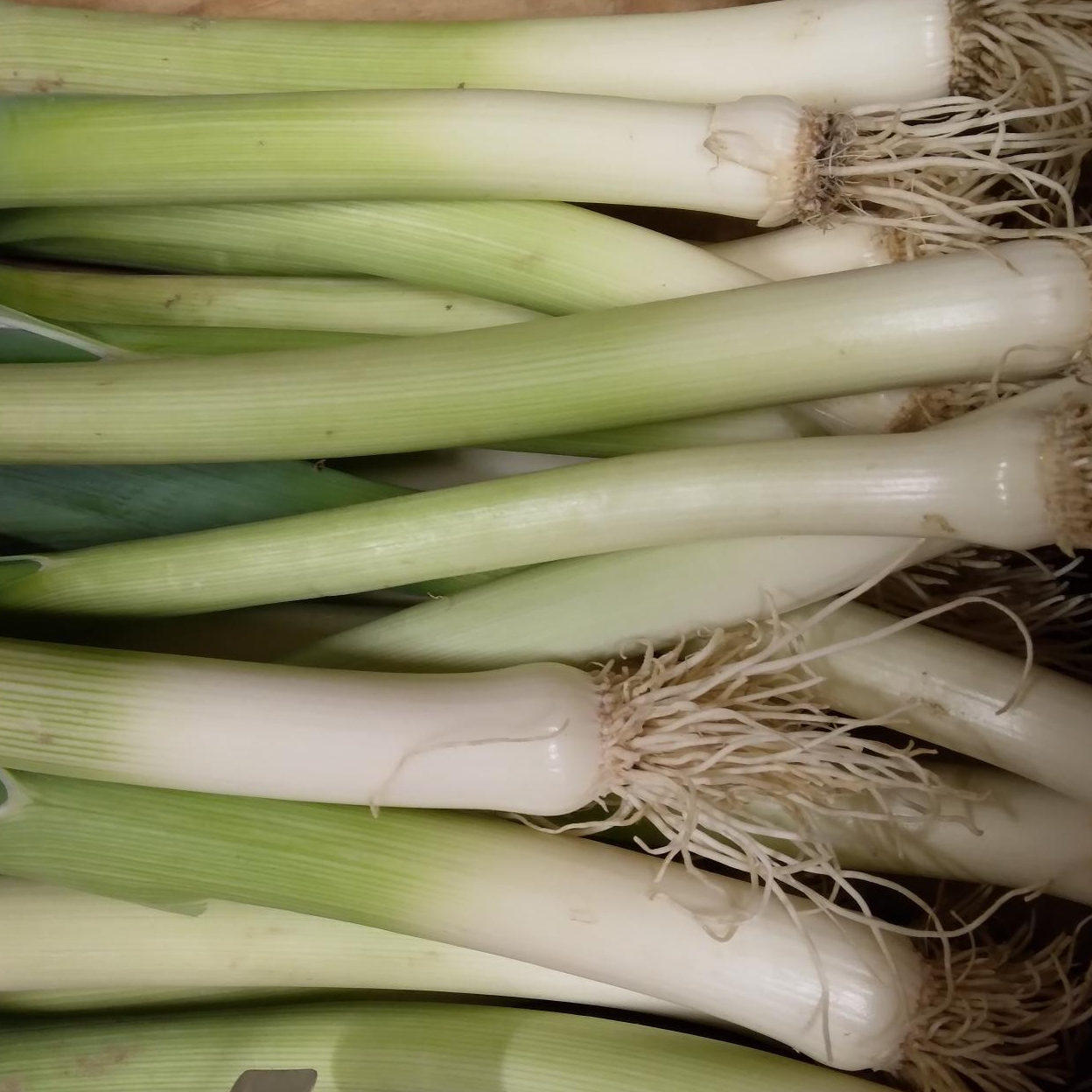 Poireaux