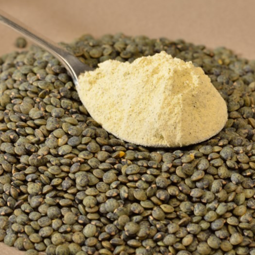 Farine de lentille - 1kg