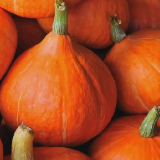 Courge Potimarron