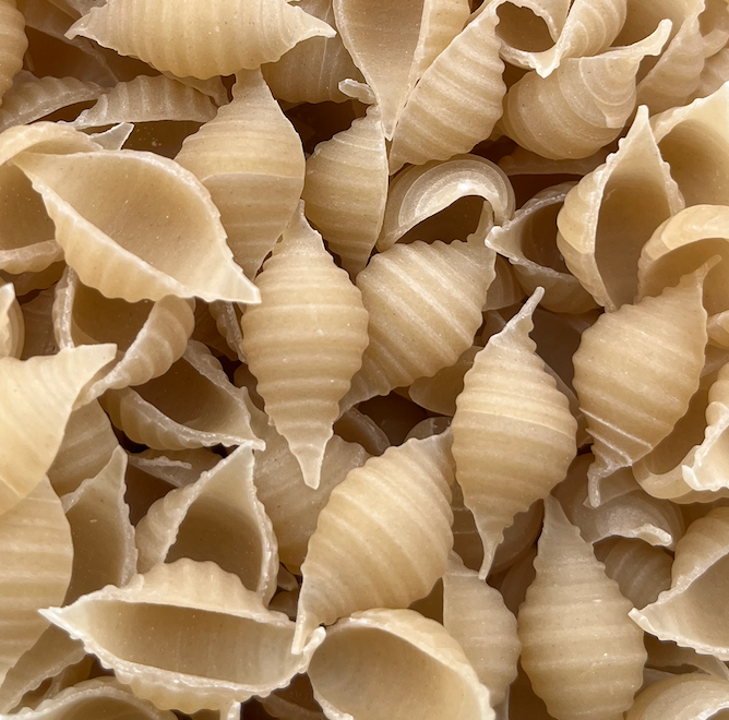 Épeautre Bio