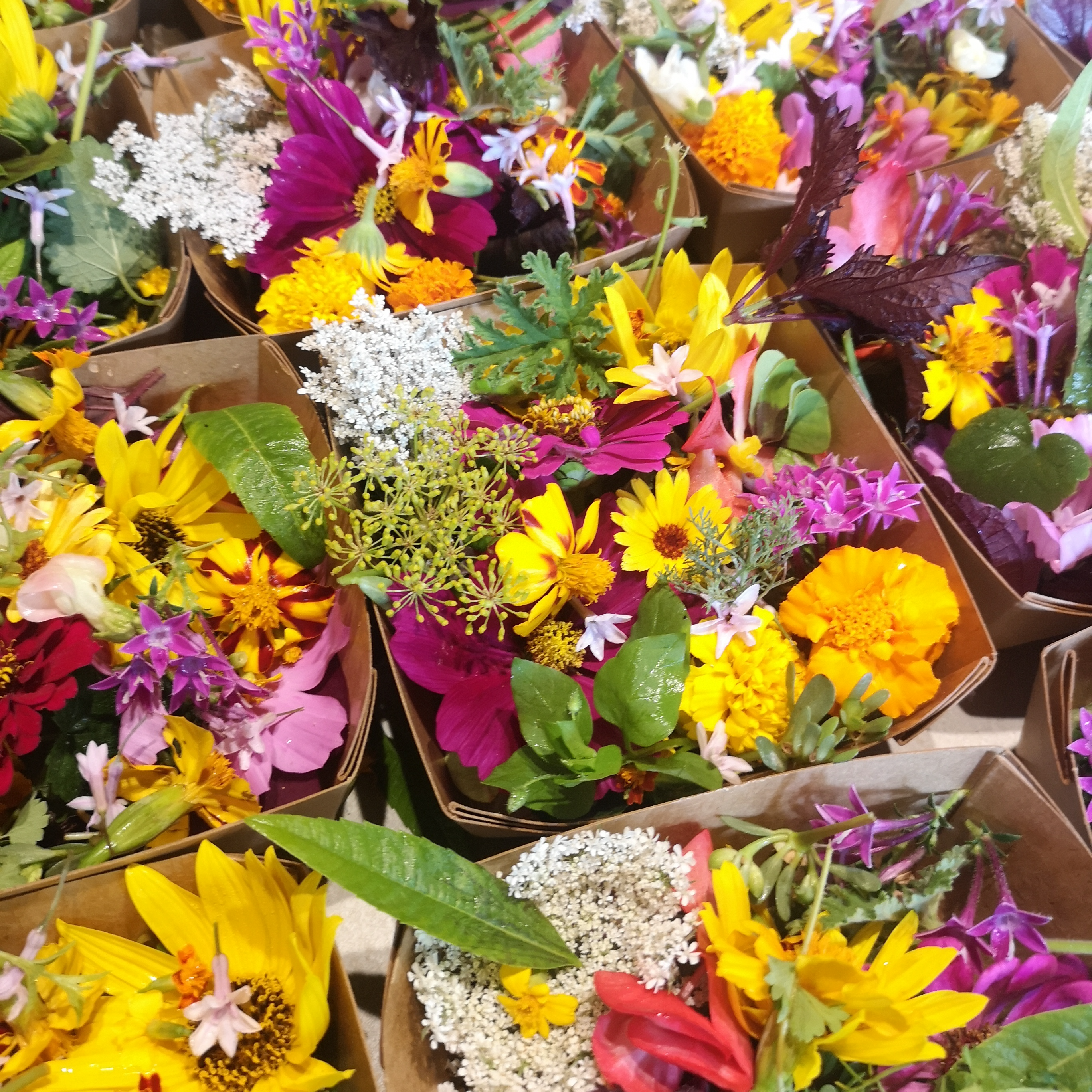 Mix fleurs et feuilles