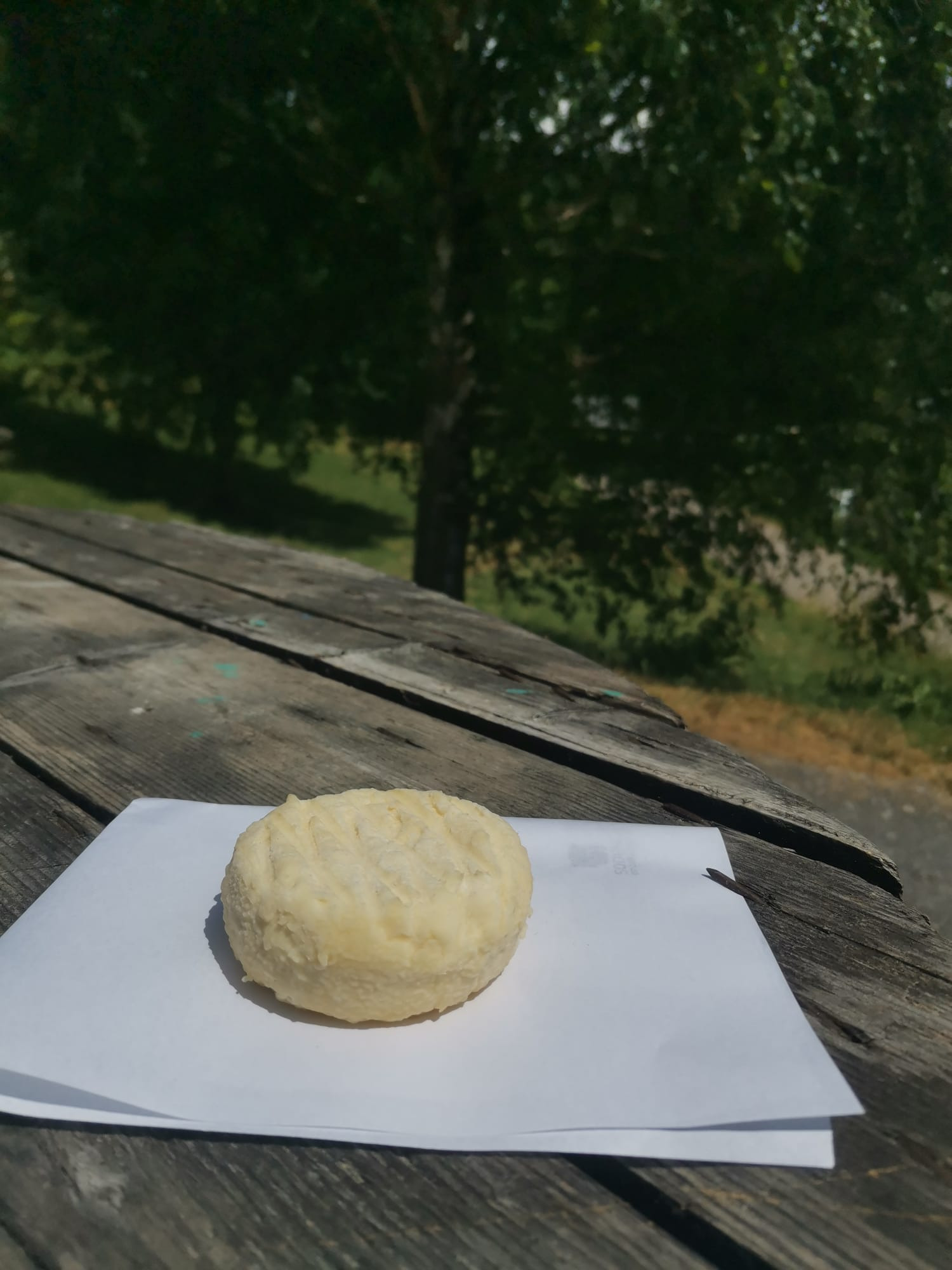 Luciole fromage de vache