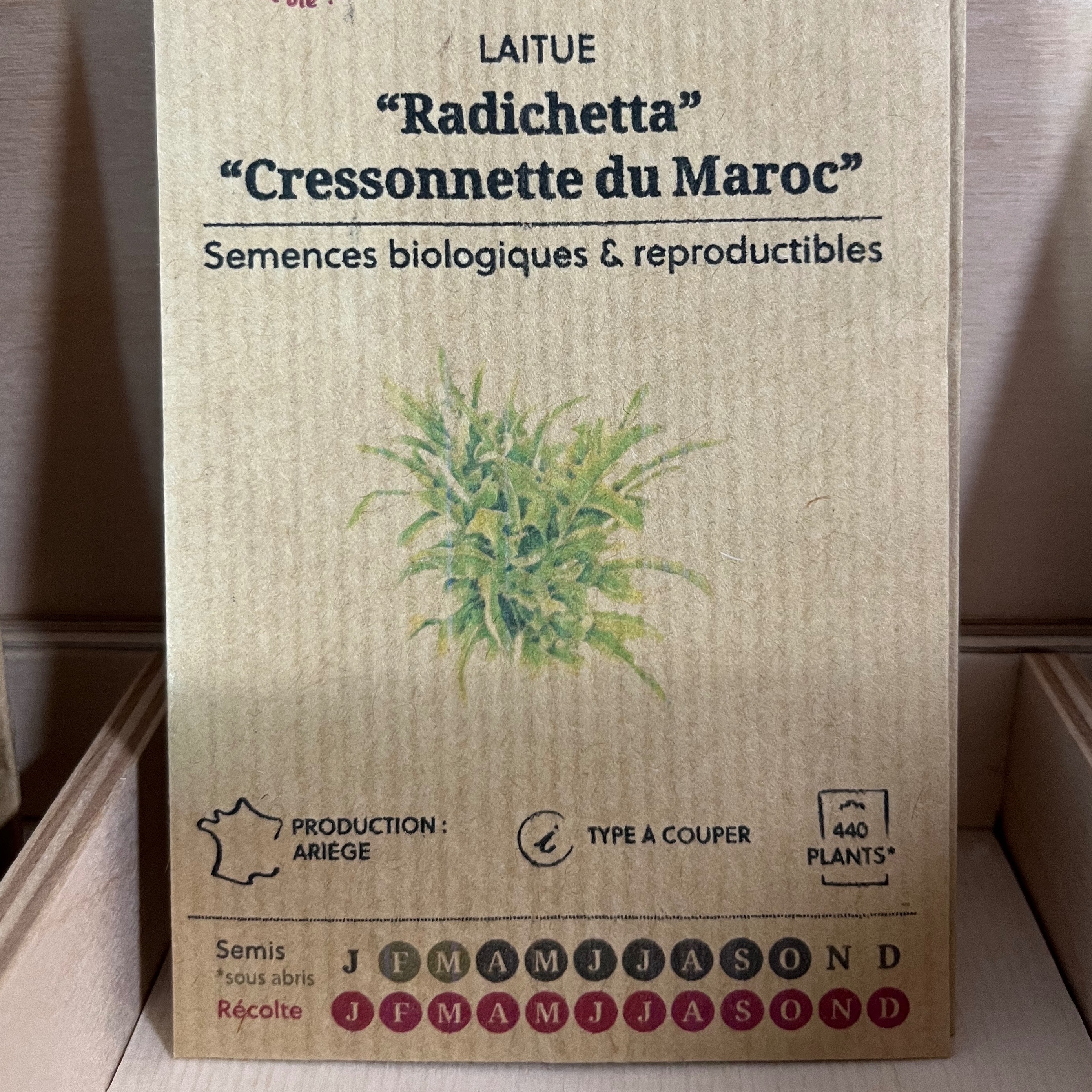 Laitue "Cressonnette du Maroc"