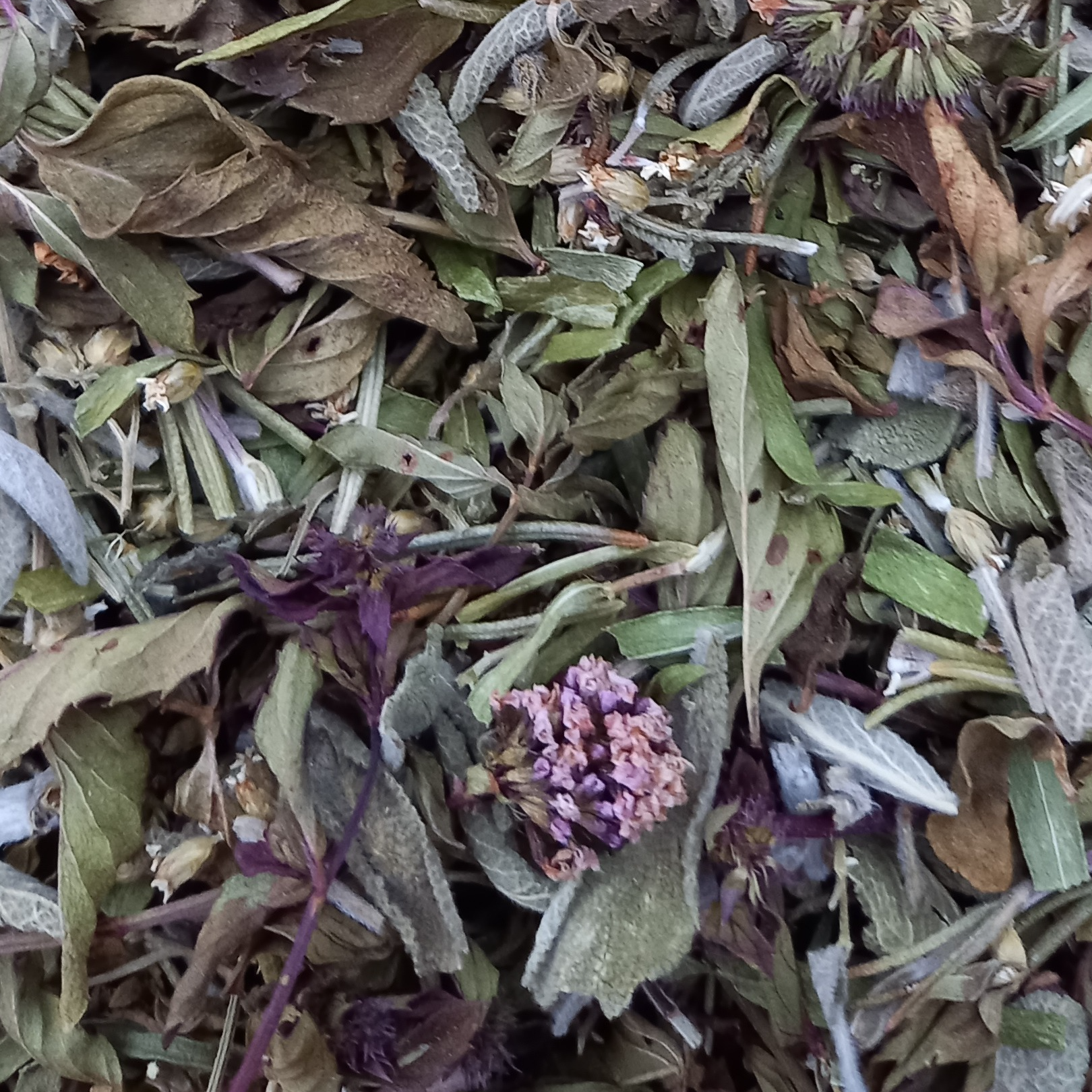 Tisane Digestion - 20g