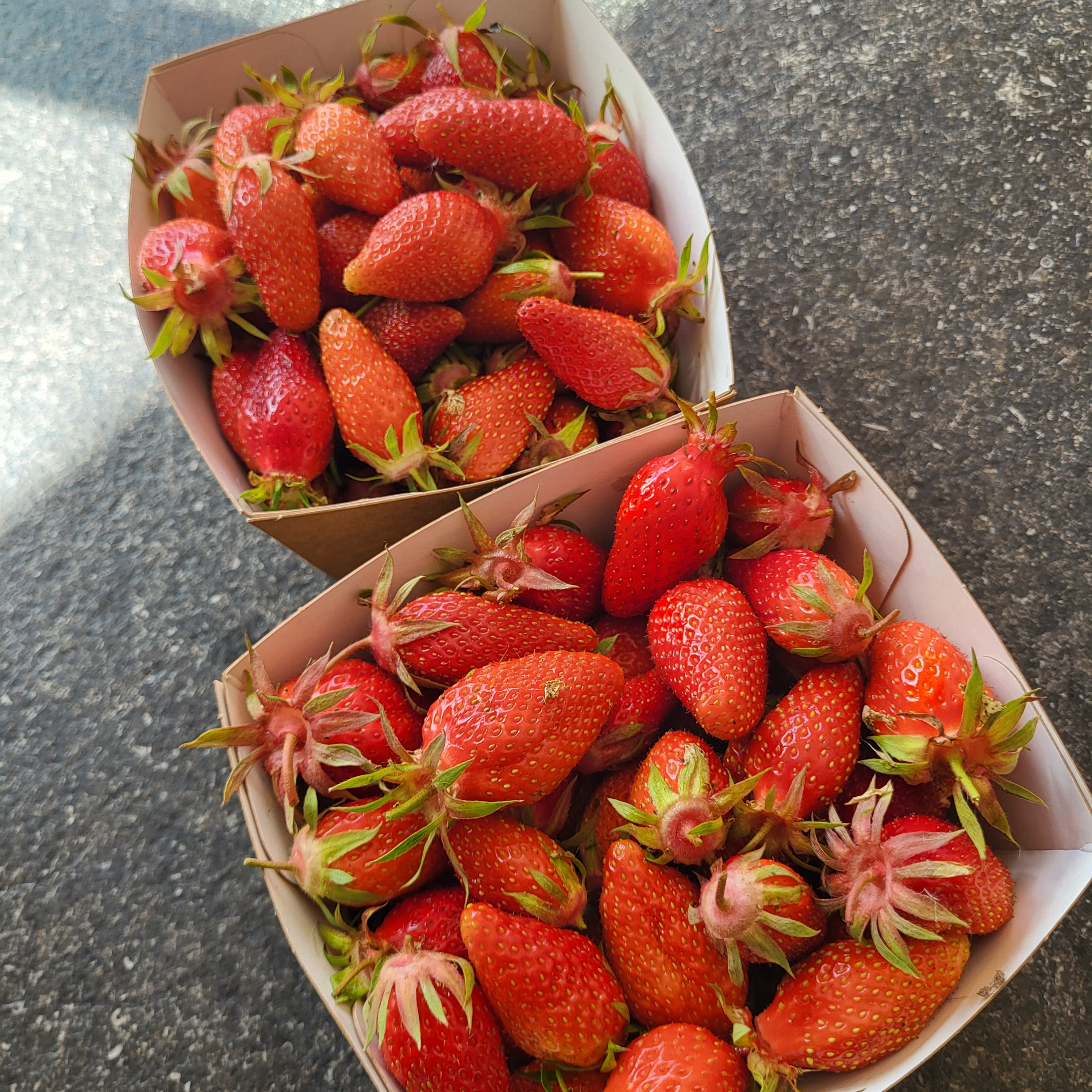Fraise Gariguette - 450g