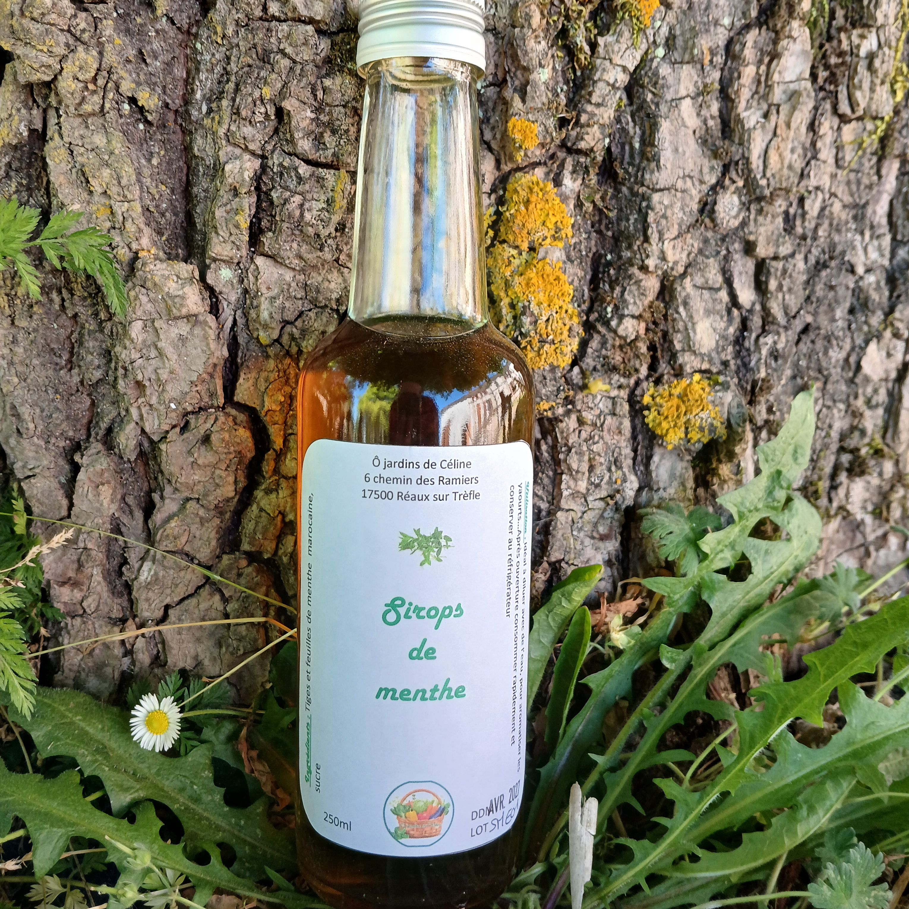 Sirop de menthe - 200ml