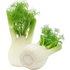 Fenouil