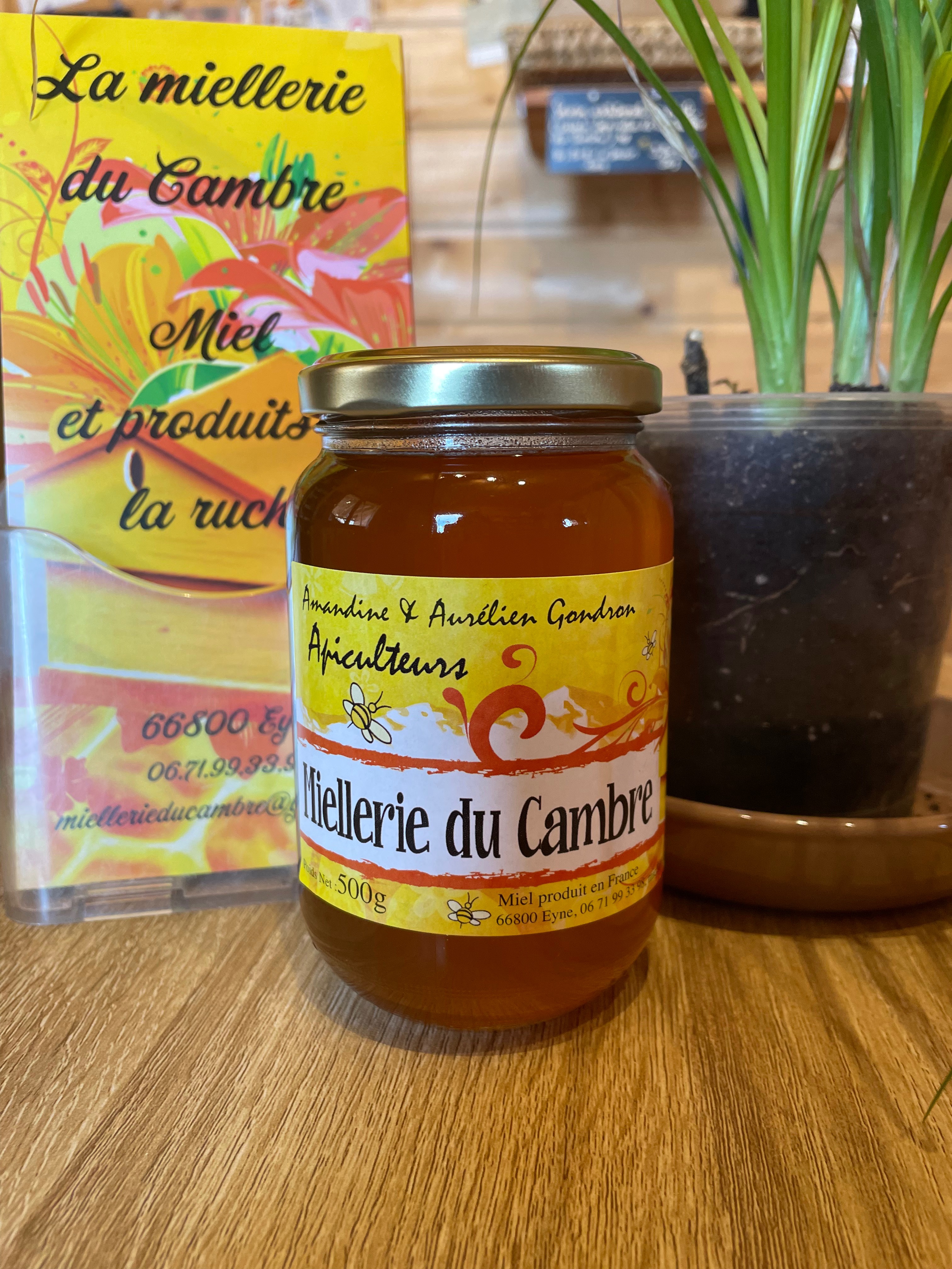 Miel de Forêt (sapin/tilleul)