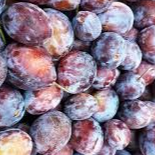 Prune violette - 500g