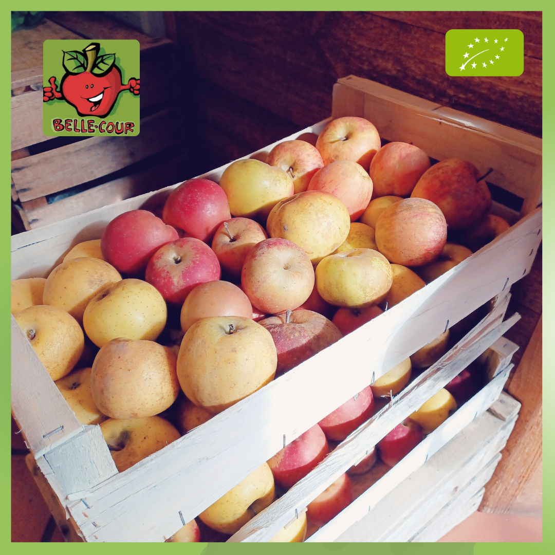 Mélange Pommes - 7kg