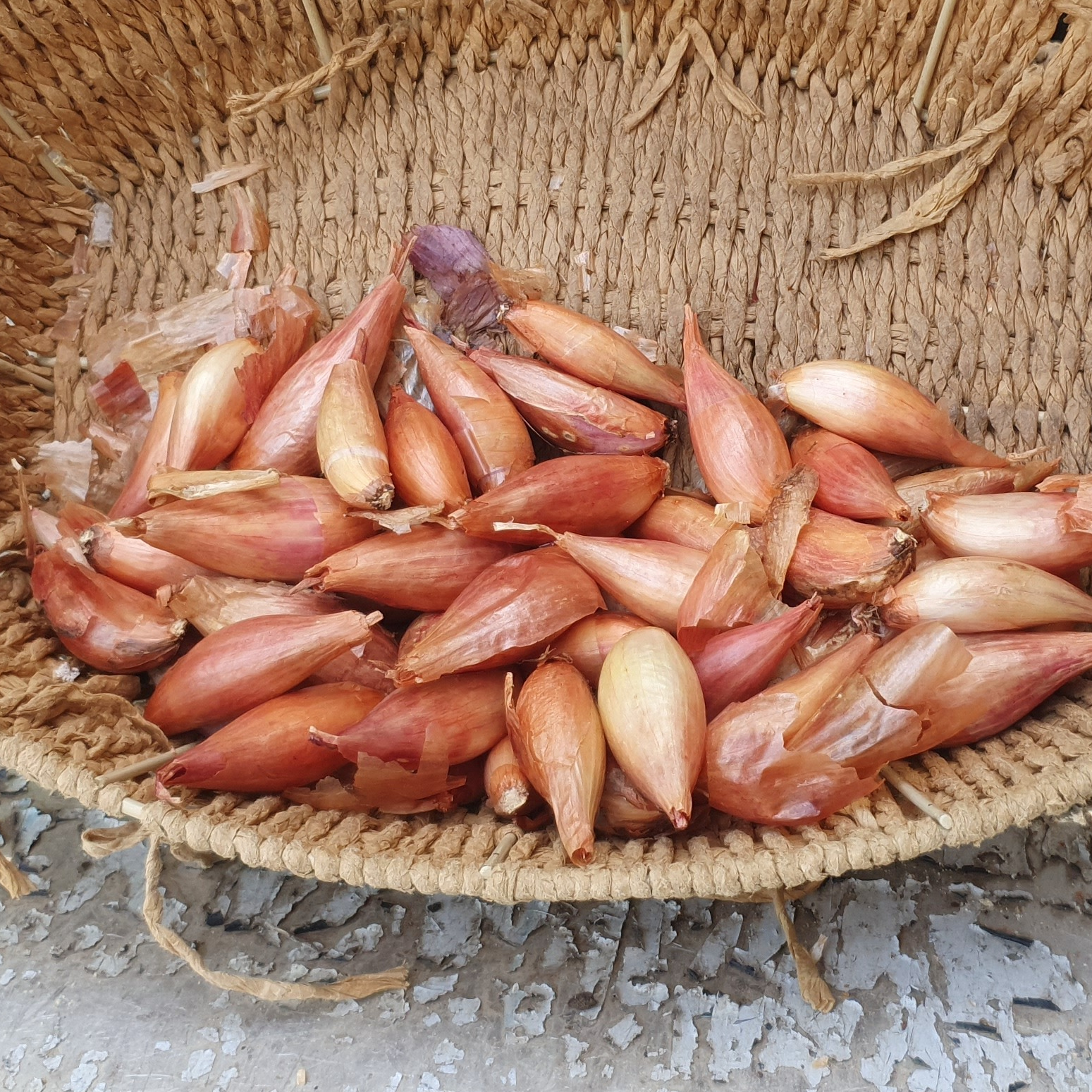 Échalotes - 100g