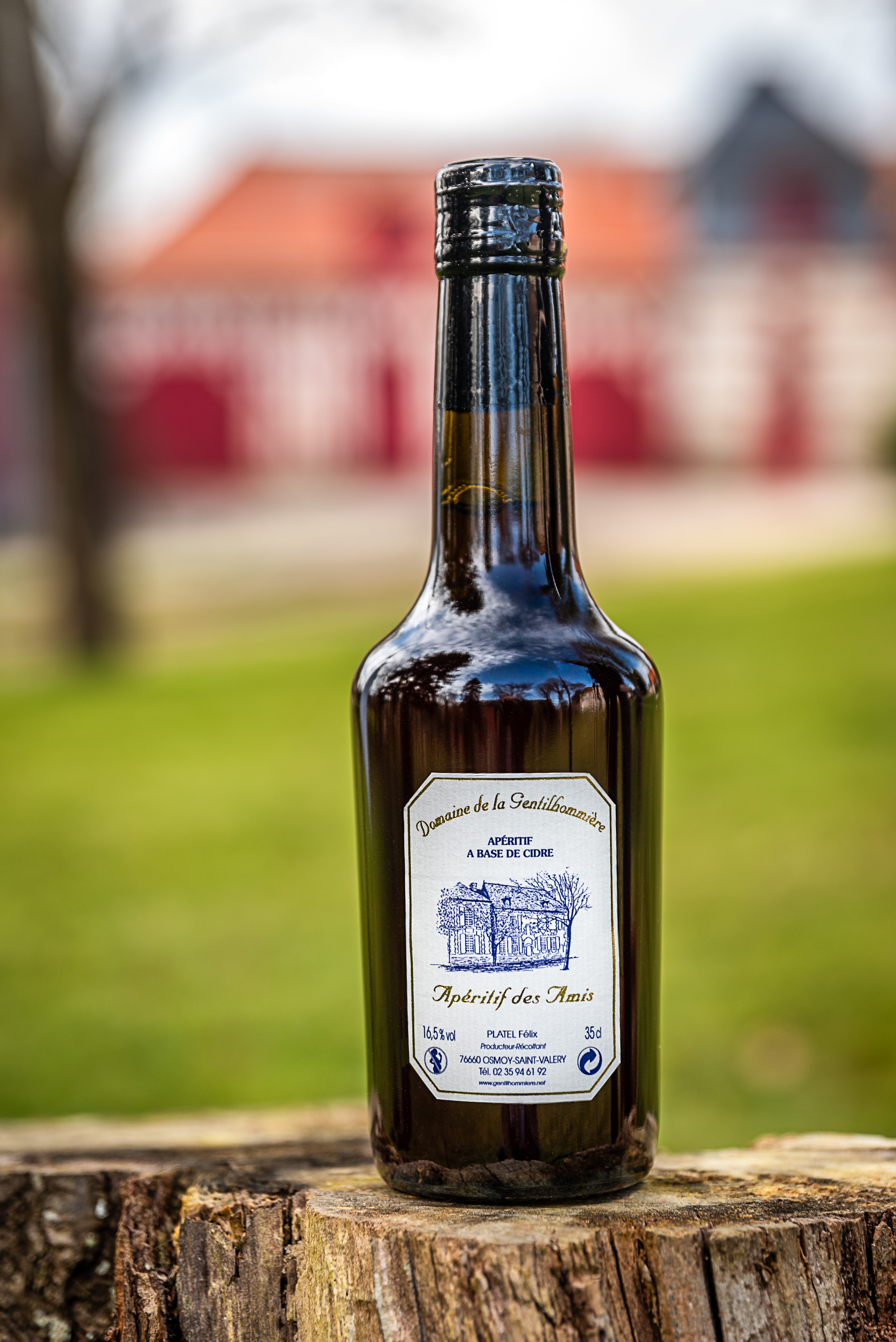 Apéritif des Amis - 35 cL - 0,35l