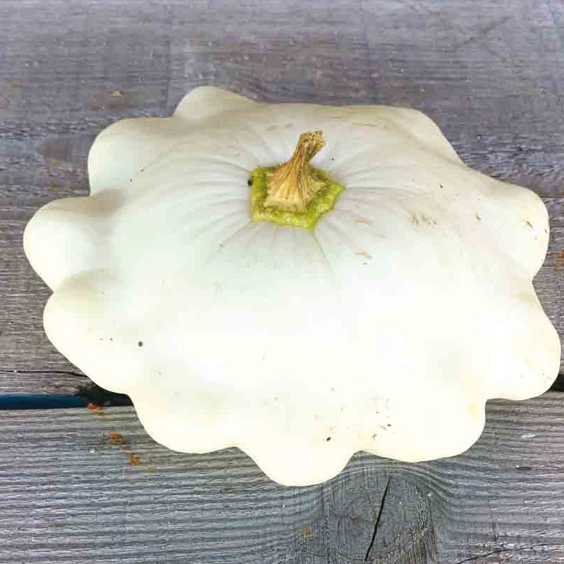 Pâtisson - Pièce - 0,7kg