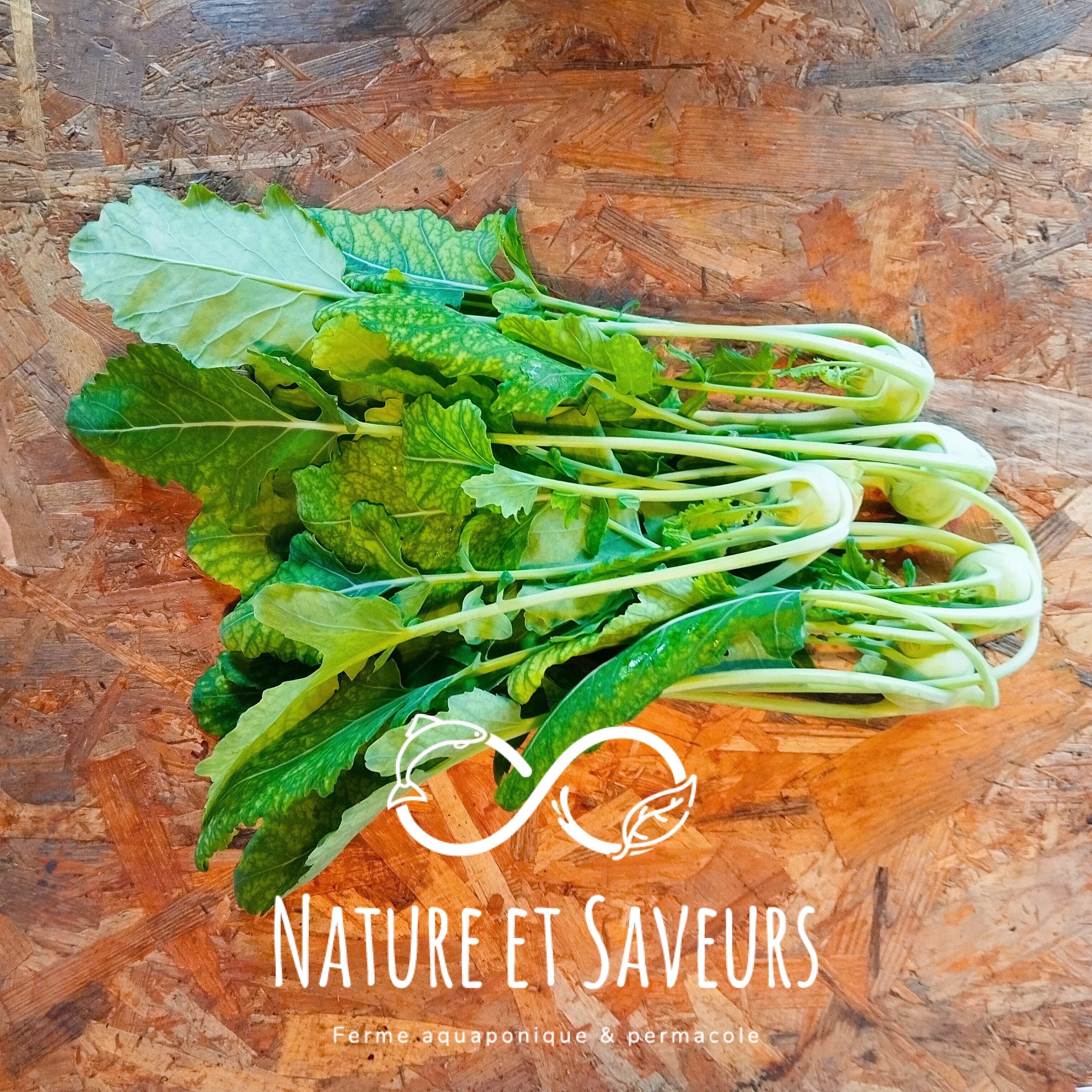 Mini chou-rave vert - 5 pièces - 250g