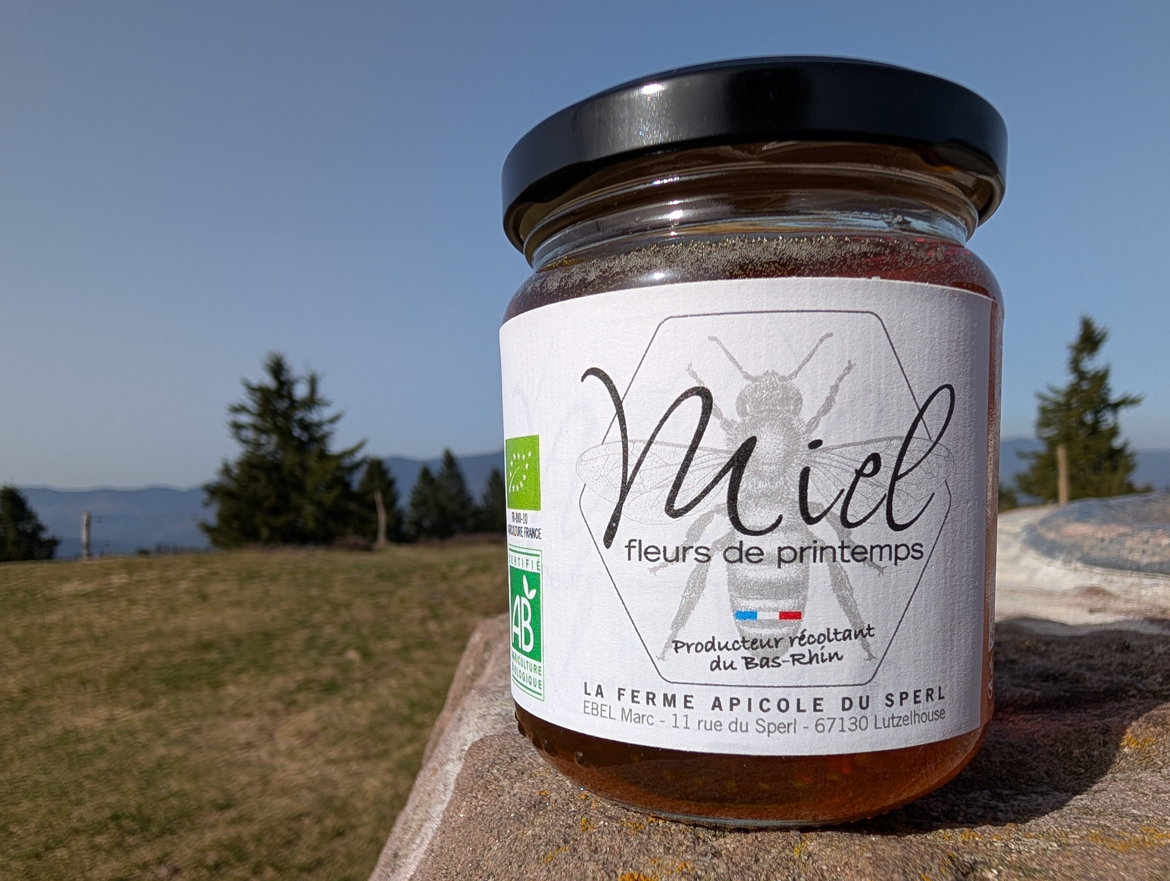 Miel de fleurs de Printemps - 250g
