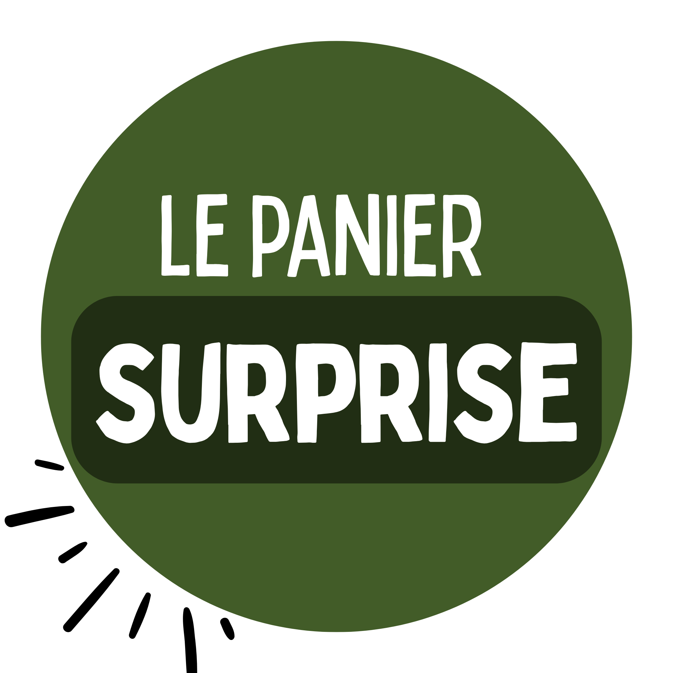 Panier Surprise 🤭