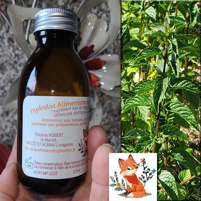 Hydrolat de Menthe Poivrée - 150ml