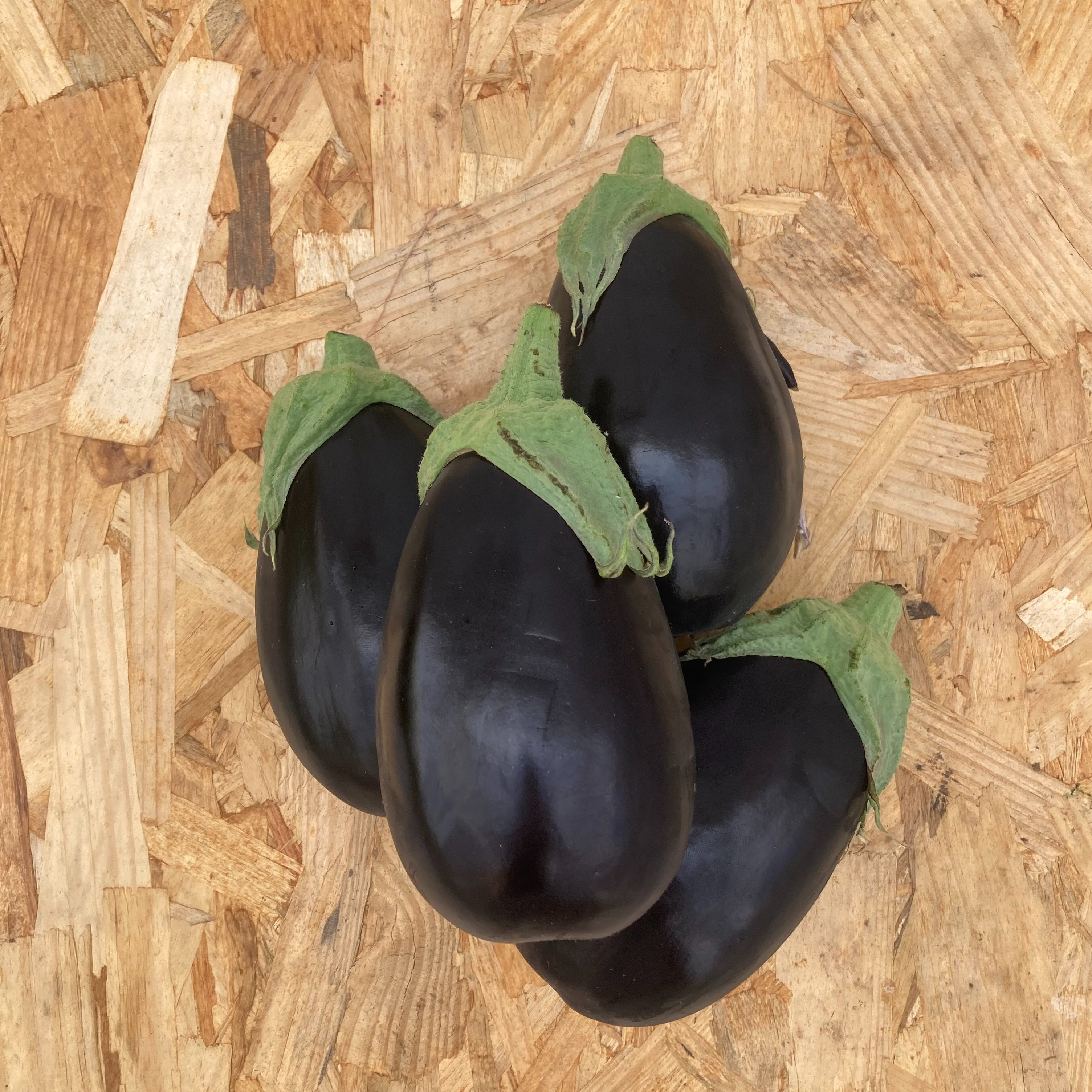 Aubergines (Mix Amalia + Berbantane)