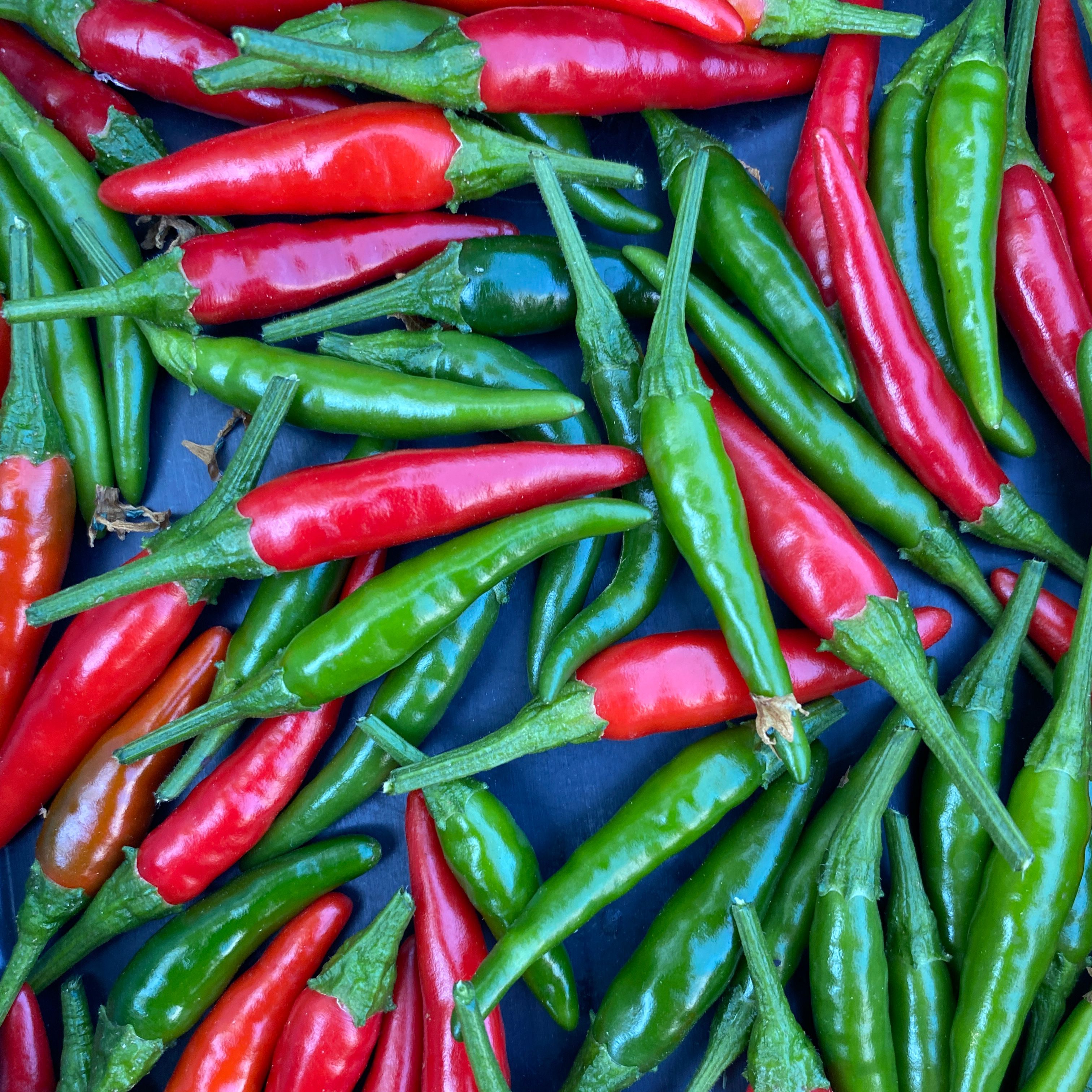 Piments oiseaux