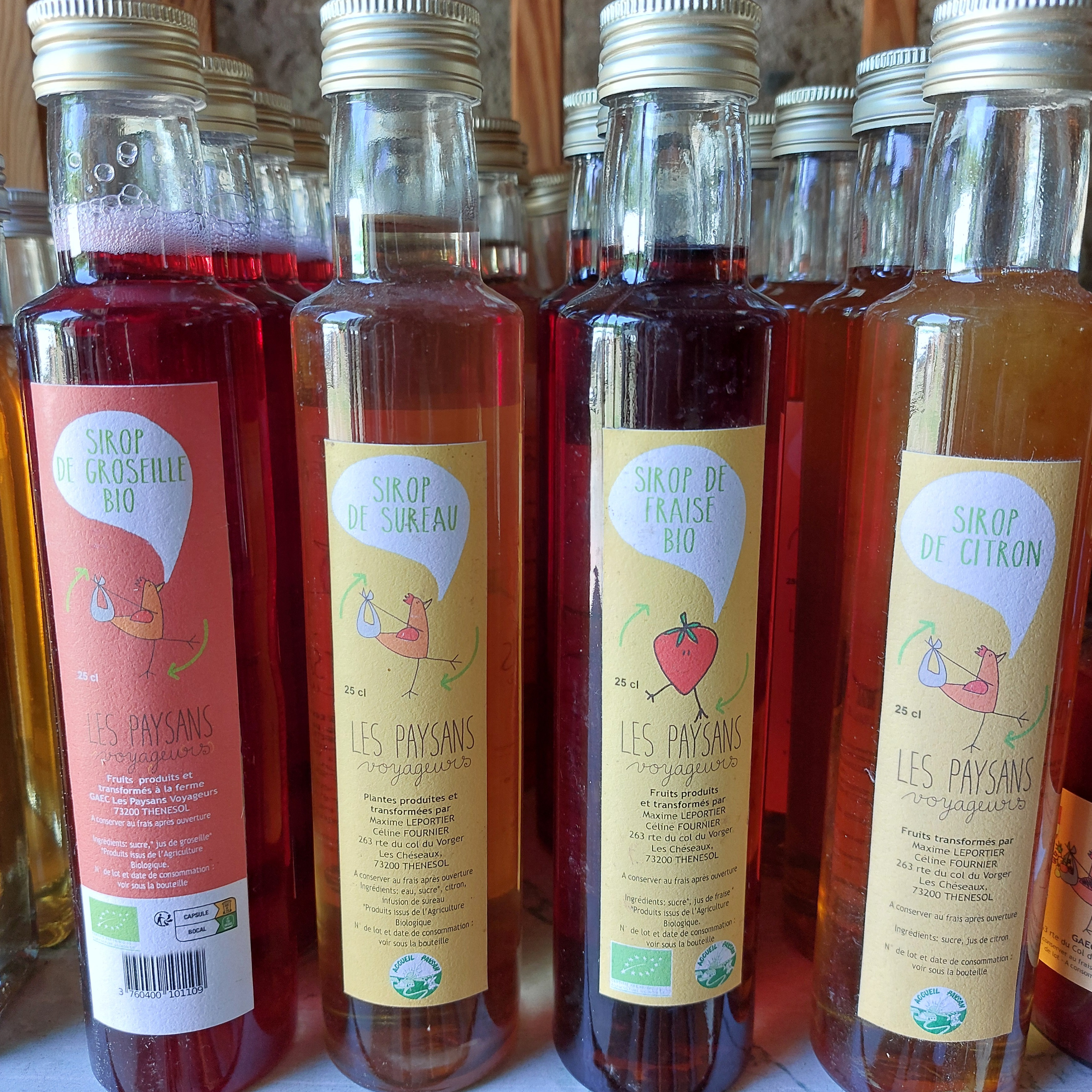 Sirop de Citron (1 bouteille de 25cL)