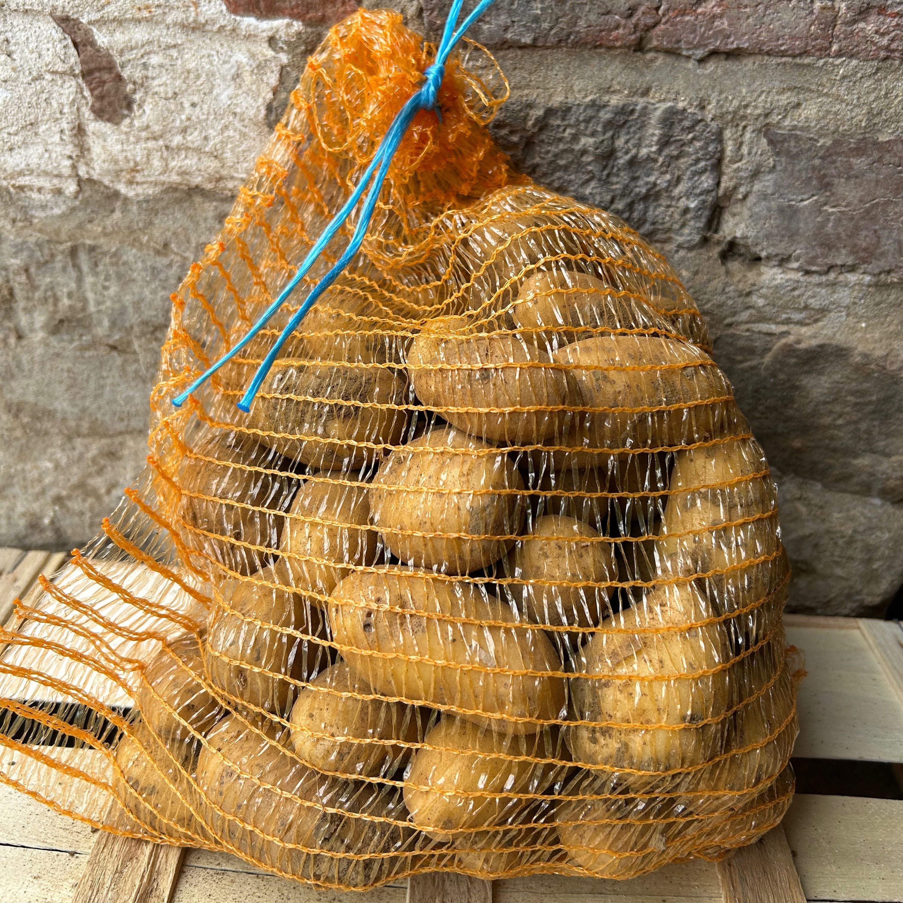 PDT Marilyn 2.5kg