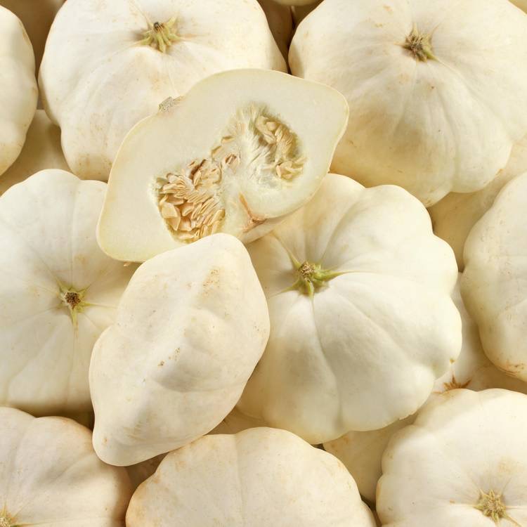 Courge ‘Patisson blanc’