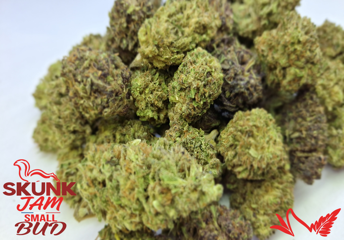 SMALL BUD SKUNK JAM CBD