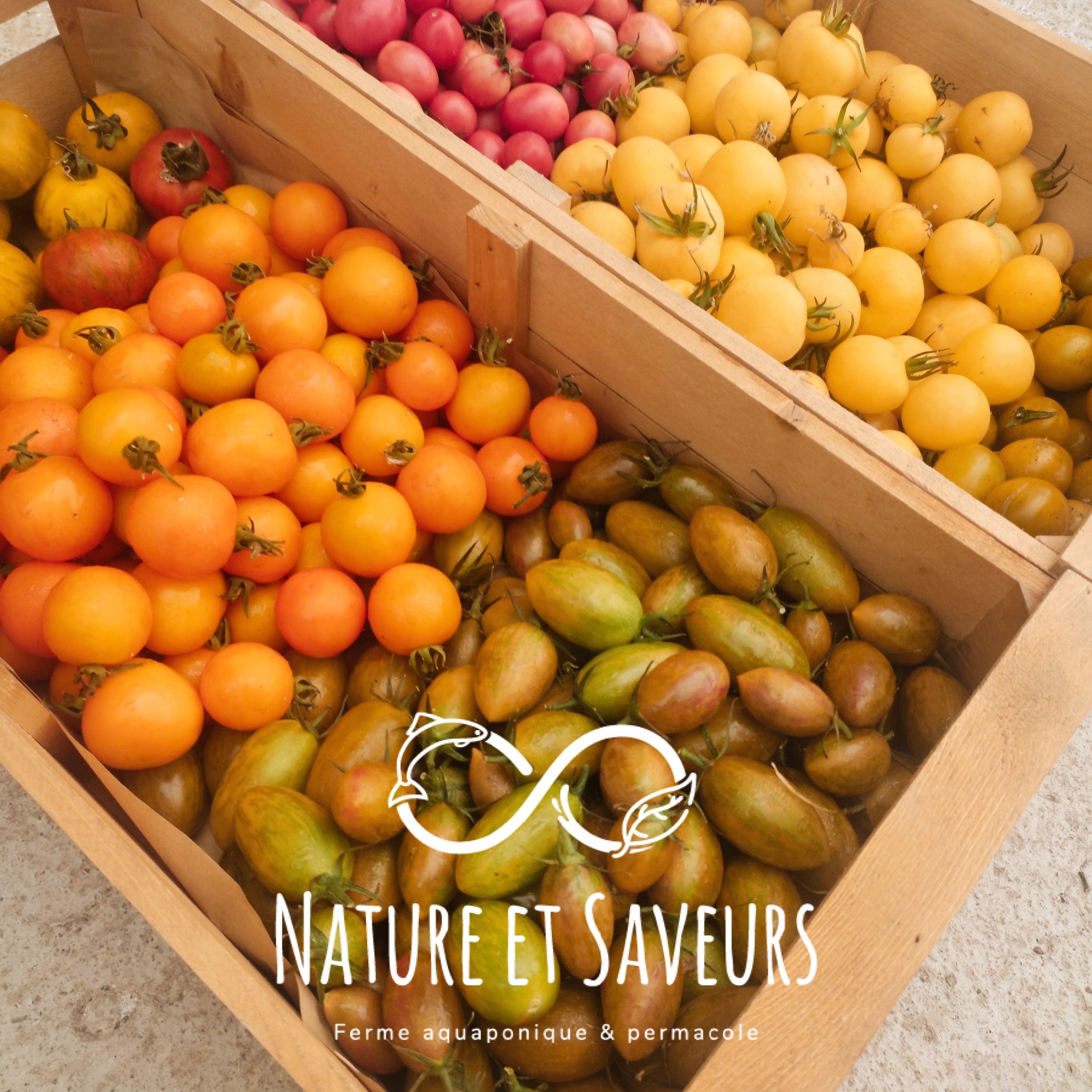Tomates Petites Gourmandes en Mélange - 250g