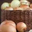 0.500 oignons blc/violet  bio ab 66 elne et roussillon france