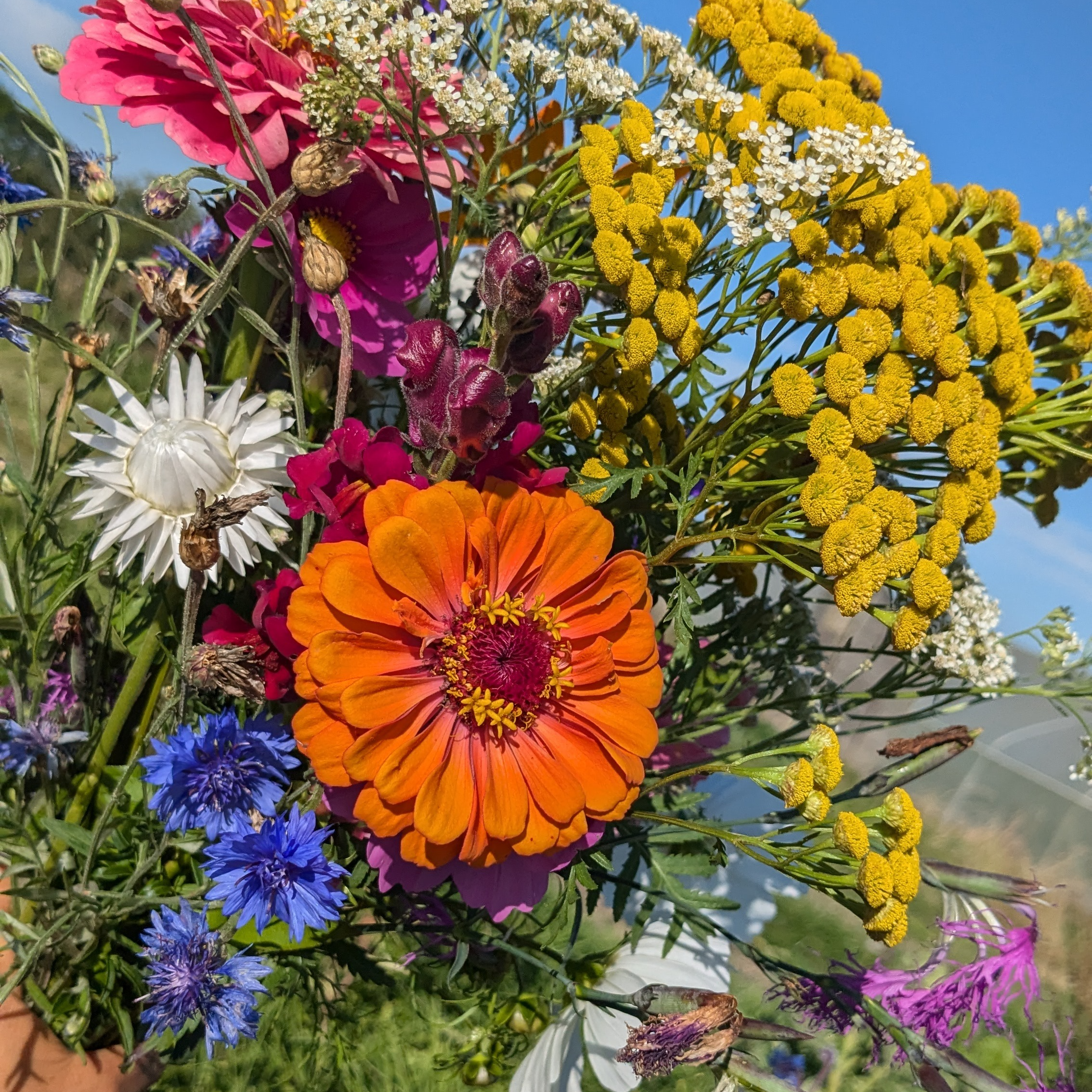 Bouquet de Fleurs (Petit)